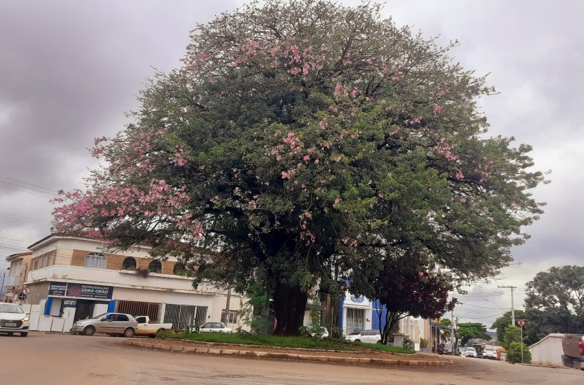  21 de setembro deve ser visto como um dia de reflexão