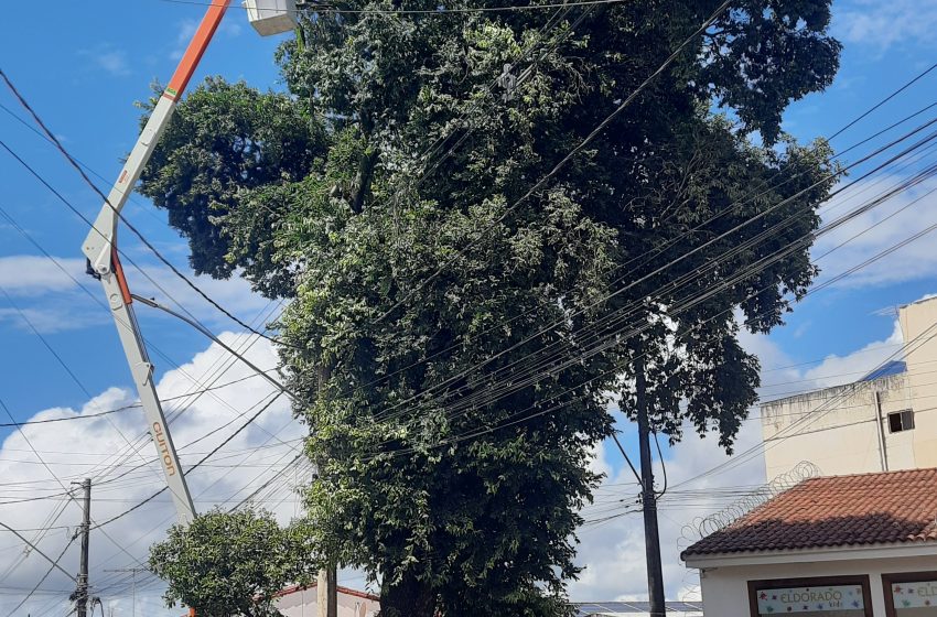  PODAS DE ÁRVORES DEVEM SER FEITAS COM MÁXIMA ATENÇÃO PARA EVITAR ACIDENTES COM A REDE ELÉTRICA