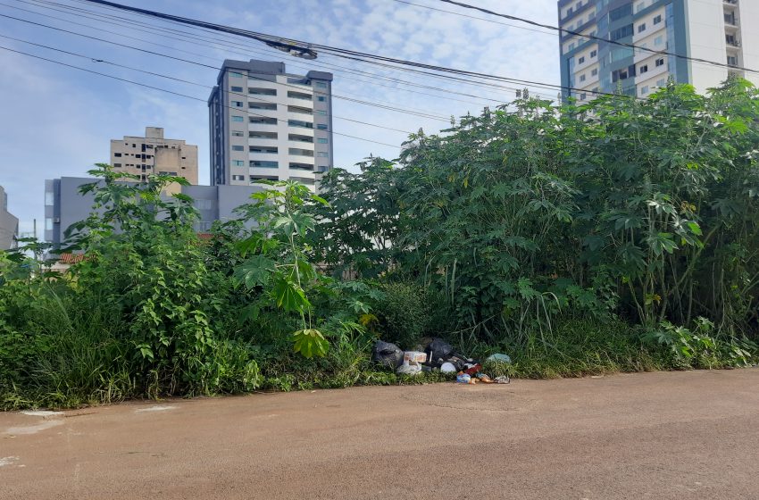  Terrenos baldios aumenta o risco de proliferação do Aedes aegypti