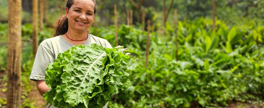  Governo de Minas investe na agricultura familiar transformando a alimentação escolar e a vida de produtores rurais