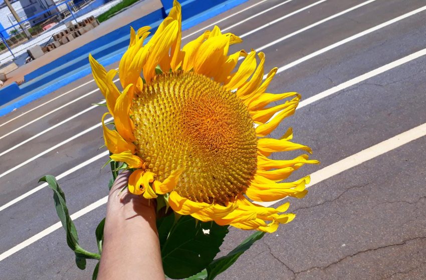  08 DE MARÇO DIA INTERNACIONAL DA MULHER